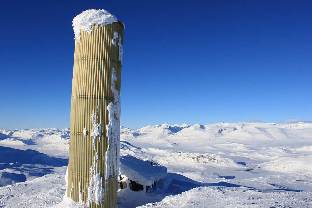 På toppen av Bitihorn (1607 moh).