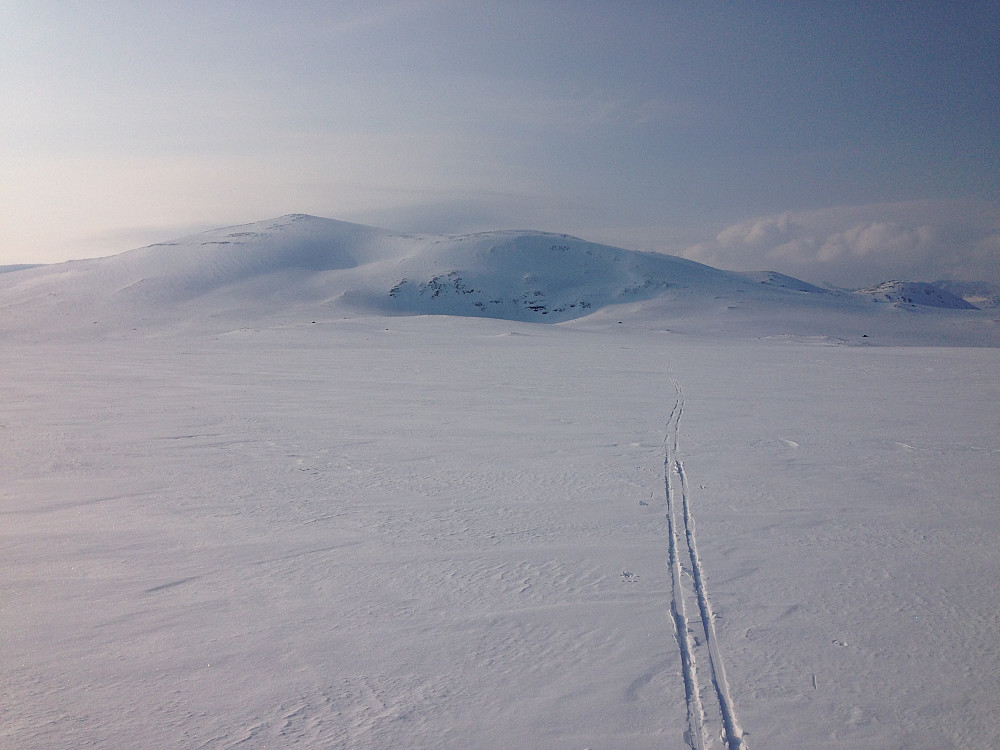 Flott vårstemning på Valdresflya i dag.