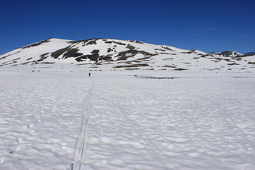 Valdresflya. Raslet (1854 moh.) til venstre.
