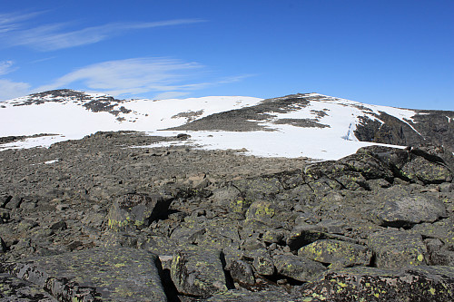 Austre Kalvehøgde (2178 moh.) til venstre og Mugna (2159 moh.) til høyre sett fra Kalvehøgde (2088 moh.).