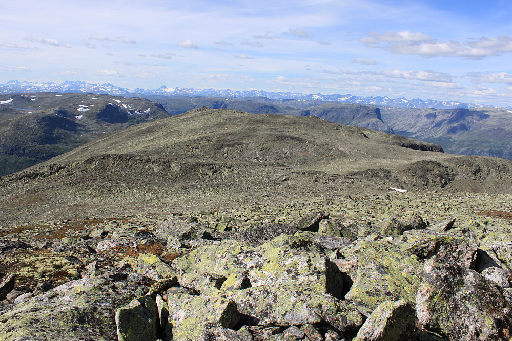 Panoramautsikt mot Jotunheimen fra toppen av Grindane (1724 moh).