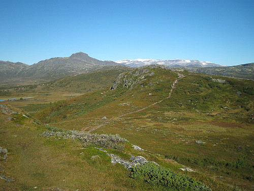 Nørre Knausen (1123 m.o.h.) med Bitihorn (1607 m.o.h.) og Gjendealpene i bakgrunnen