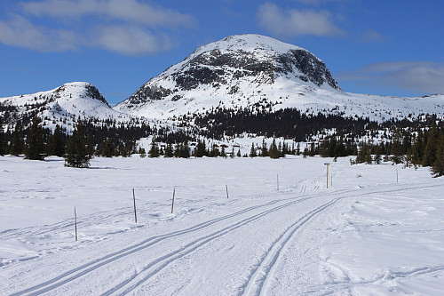 Ved Juvike er det fin utsikt opp til Kalvemellen (1136 moh) og Rundemellen (1345 moh).