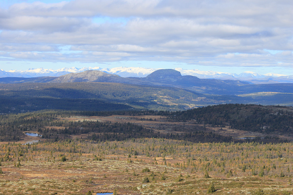 Panoramautsikt fra Smørlifjellet nordvestover mot Rundemellen (1345 m.o.h.) og Skarvemellen (1267 m.o.h.) i forgrunnen med Jotunheimens snøkledde 2000-meterstopper i bakgrunnen.