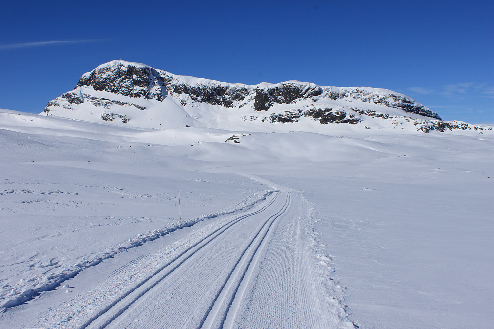 På skiløype Rød 2 på vei mot Bygdin. Bitihorn (1607 moh) er et tydelig blikkfang.