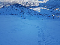 Hawkeye_20180218_5a89b1f20c629.jpg