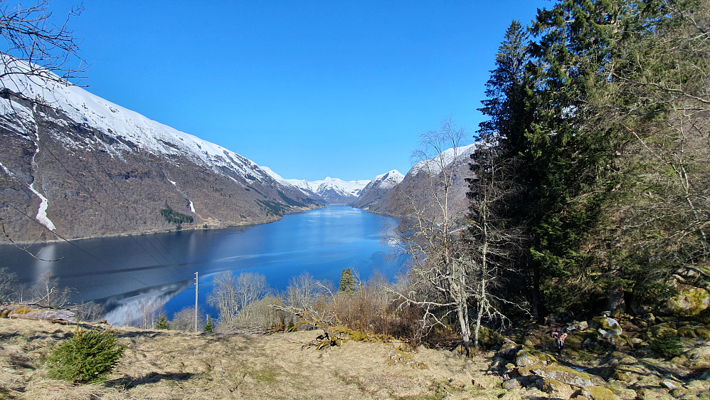 Utsikt over Fjorden 