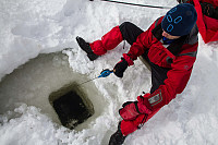 Pål_20150505_55492f498582a.jpg