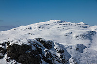 pål_img_6455.jpg