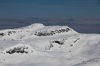 pål_img_6460.jpg