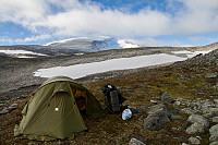 pål_img_7870.jpg