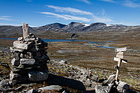 pål_img_7888.jpg
