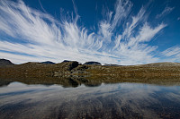 pål_img_7889.jpg