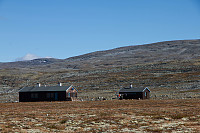 pål_img_7896.jpg