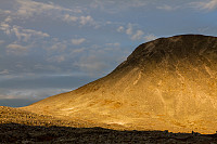 pål_img_7919.jpg