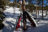 pål_img_8732.jpg