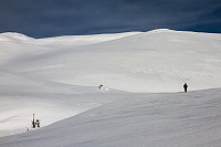 pål_img_8740.jpg