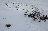 pål_img_8751.jpg