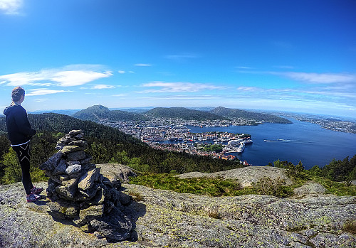 Toppen på Sandviksfjellet
