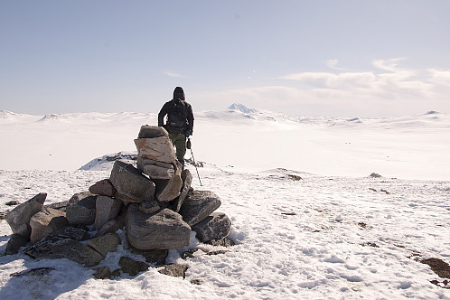 Toppen på Brjostet med utsikt mot Gausatoppen