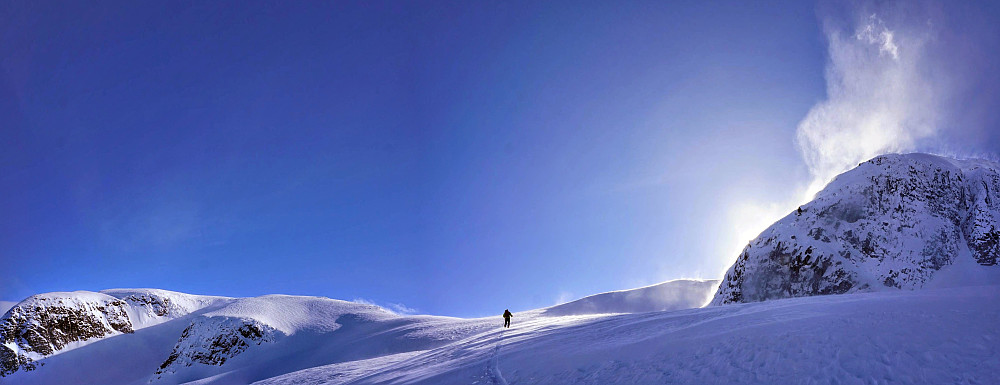 Bjørn på vei opp mot skaret mellom Steindalseggi og Steindalsbreen