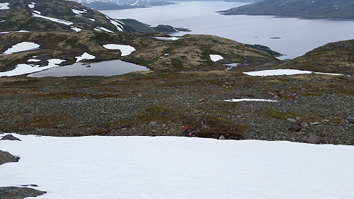 Fra Tyinstølsnøsen