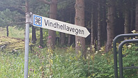 HanneKarlsen_20150902_55e69e0b852db.jpg