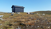 HanneKarlsen_20150912_55f47ded35063.jpg