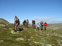 På tur