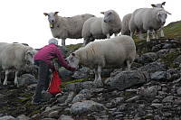 HanneKarlsen_20150927_56083f27b3a48.jpg