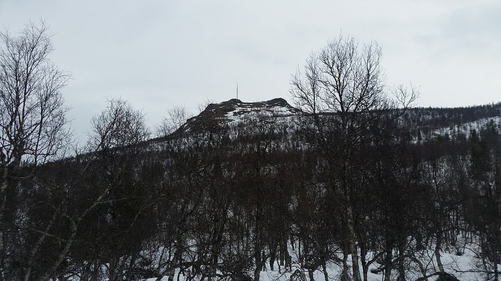 Hugakøllen