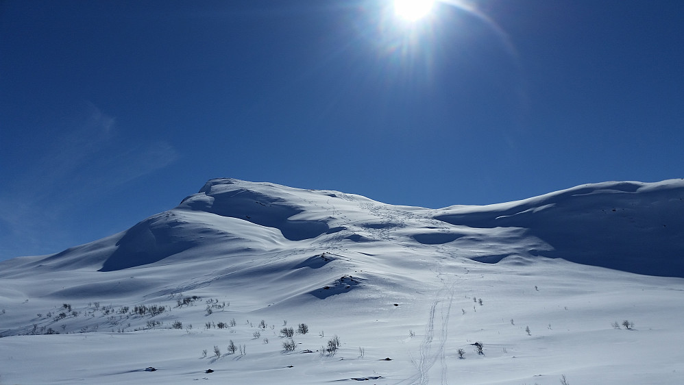 Skørsnøsen