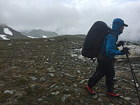 HanneKarlsen_20170805_598630589faa6.jpg