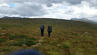 HanneKarlsen_20170805_598633ad59664.jpg