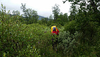HanneKarlsen_20170805_59863696ab02b.jpg