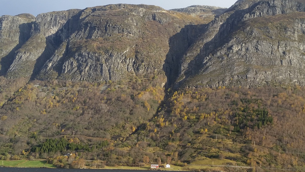 Sauene går rett over berget vest for Hømrogilen