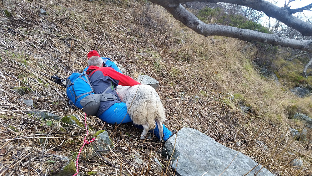 Vi måtte ty til tau