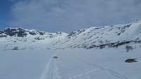 HanneKarlsen_20180501_5ae8890ce1f59.jpg