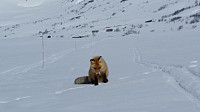 HanneKarlsen_20180501_5ae8890fa25c4.jpg