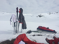 HanneKarlsen_20180501_5ae8891972d11.jpg