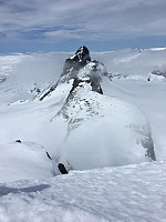frankoord_20170528_592a971fbb725.jpg