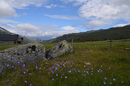 Sota Sæter