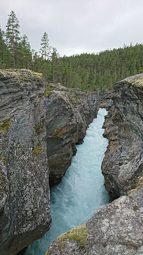 Ridderspranget 