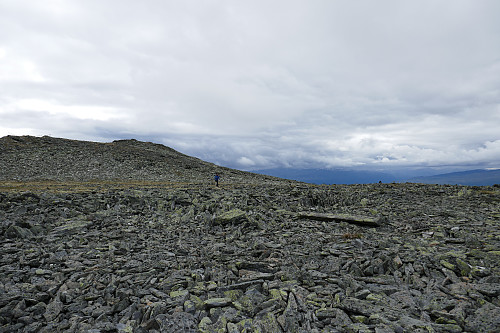 Kort tur i spesiell natur - Salknappan