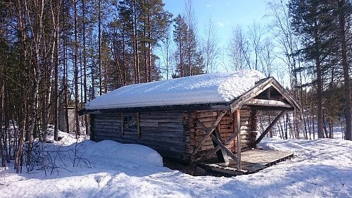 Holmenkoia