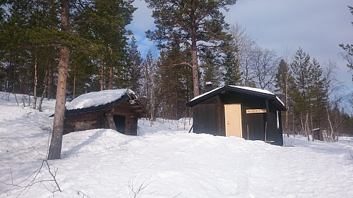 Følvannskoia
