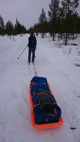 Skitur i Pasvikdalen