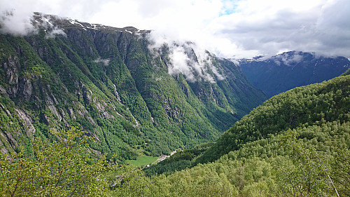 Buardalen