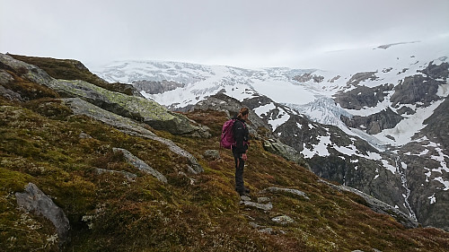 Buerbreen og Folgefonna