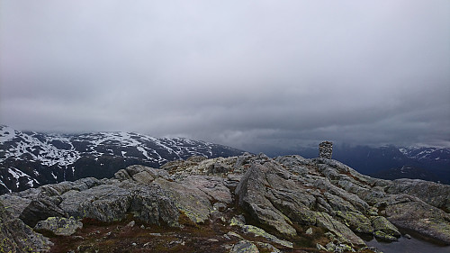 Reinanuten